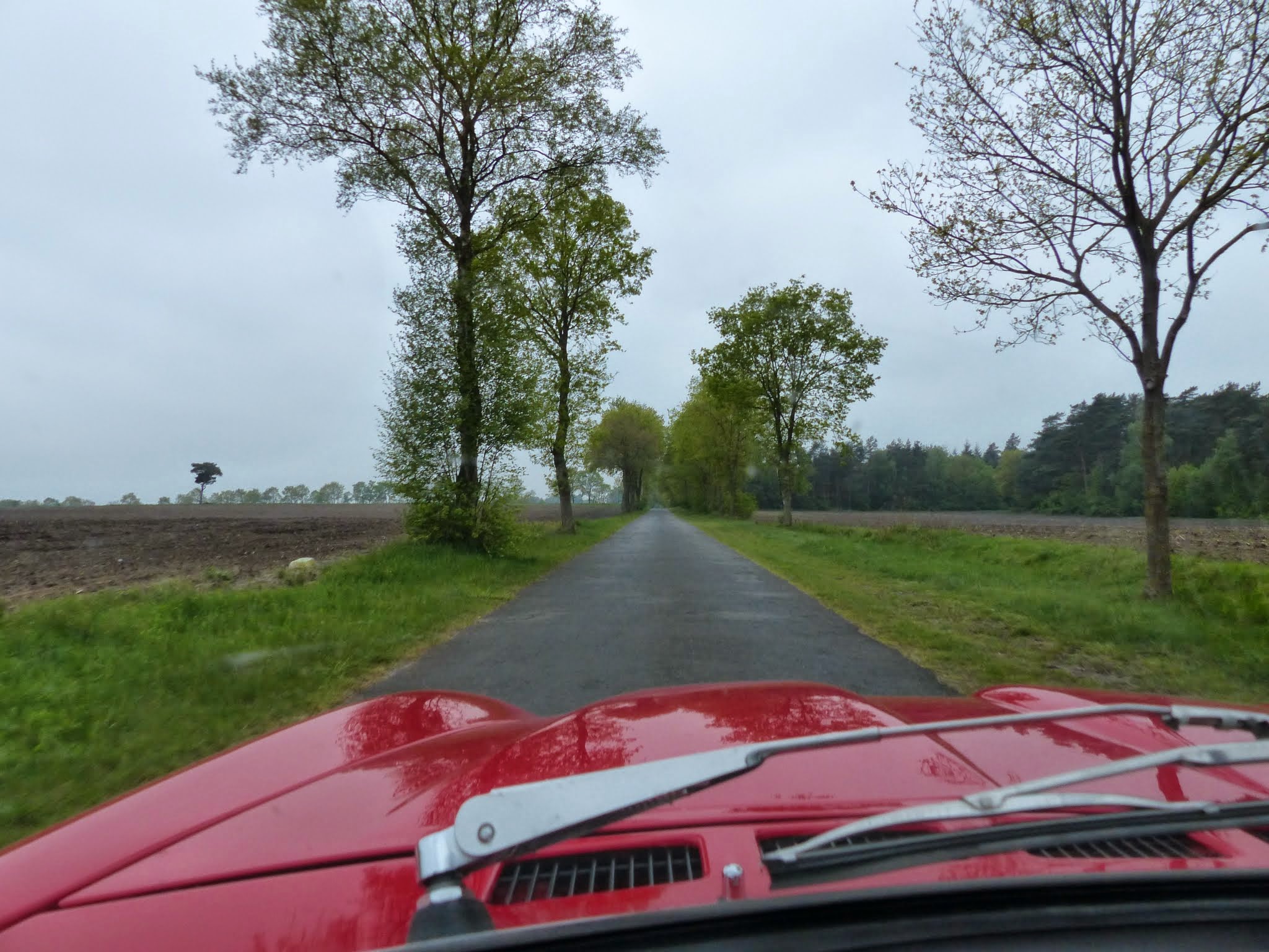 Lüneburger Heide