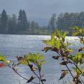 Ausfahrt - Im Biergarten mit Blick über den Staffelsee
